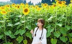 俗人岛华人社区